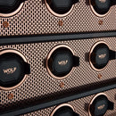 WOLF Axis 12 Piece Watch Winder Cabinet – Copper